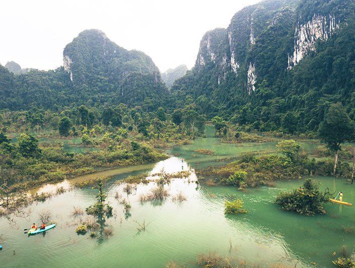 tan hoa mua lu