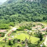 Bảo vệ cảnh quan và môi trường sống toàn cầu
