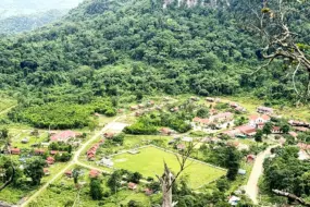 Bảo vệ cảnh quan và môi trường sống toàn cầu