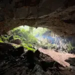 Khám phá Bách xanh đá-hang Kling 59 Khám phá Bách xanh đá-hang Kling