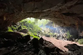 Khám phá Bách xanh đá-hang Kling