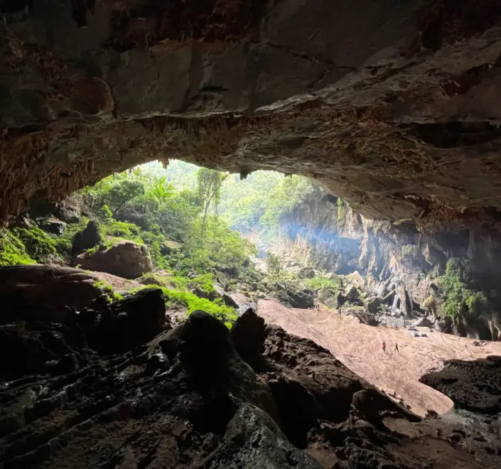 Khám phá Bách xanh đá-hang Kling