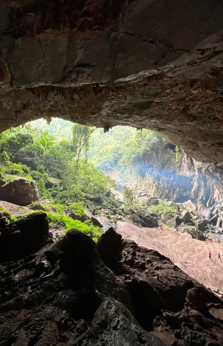 Khám phá Bách xanh đá-hang Kling