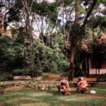 Du khách Việt ưu tiên lưu trú bền vững và hỗ trợ cộng đồng địa phương 67 Du khách Việt ưu tiên lưu trú bền vững và hỗ trợ cộng đồng địa phương