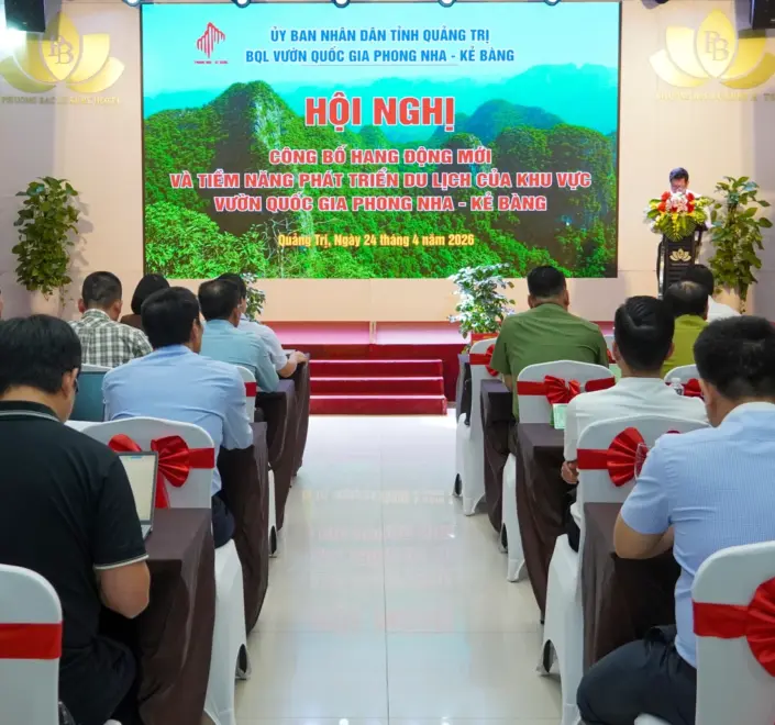 Phát hiện nhiều hang động mới có quy mô lớn, giá trị khoa học cao