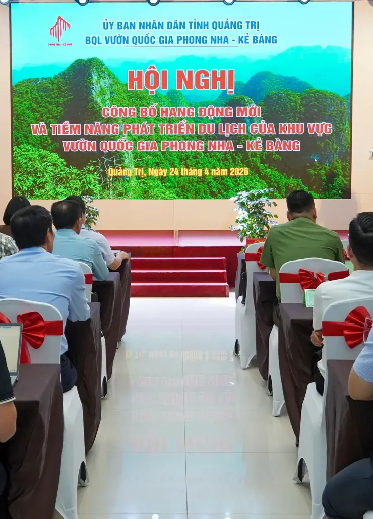 Phát hiện nhiều hang động mới có quy mô lớn, giá trị khoa học cao