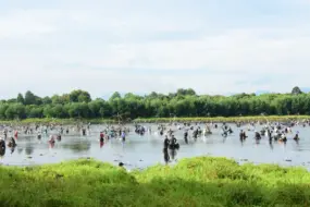 Nỗ lực đưa ‘hương sắc Vĩnh Định’ vươn xa