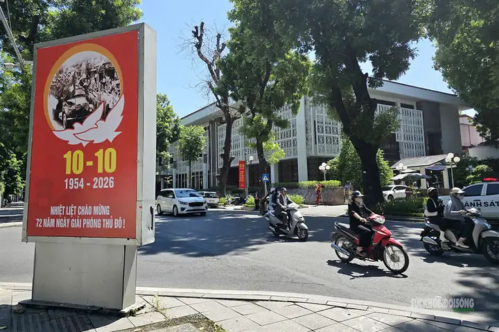 Đánh Giá Chi Tiết Vị Trí 11 Lê Hồng Phong, Phường Điện Biên, Ba Đình, Hà Nội Năm 2026: Địa段 Vàng, Giá BĐS, Kế Hoạch & Cơ Hội Đầu Tư
