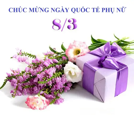 Ngày 9 Tháng 3 Là Ngày Quốc Tế Gì? Toàn Bộ Thông Tin, Ý Nghĩa Và Cách Phản Hồi Năm 2026
