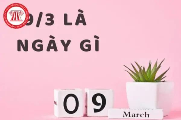 Ngày 9 Tháng 3 Là Ngày Quốc Tế Gì? Toàn Bộ Thông Tin, Ý Nghĩa Và Cách Phản Hồi Năm 2026
