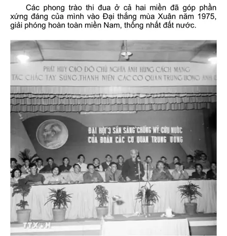 Ăn Gỏi Cá Nhảy Miền Nam 2026: Bí Mật Vị Ngon "đánh Bay" Mọi Vị Giác, Top Quán Ngon & Cách Chọn Mua Chuẩn Không Cần Chỉnh