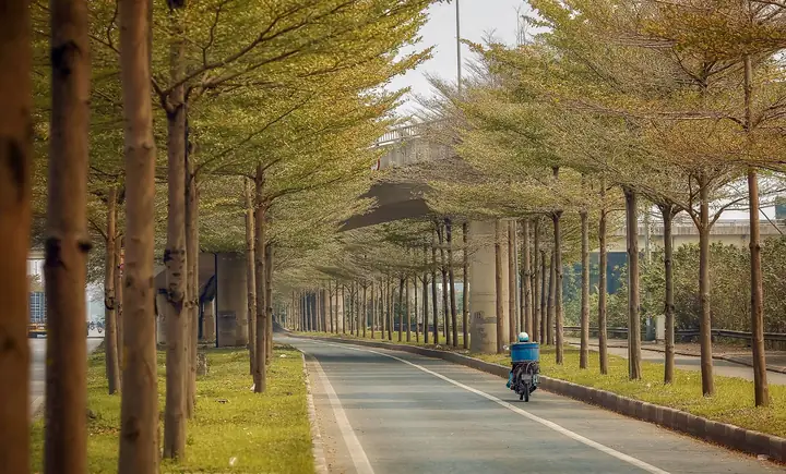 Top 10+ Góc Chụp Ảnh Đường Phố Hà Nội Đẹp "sống Ảo" Nhất Năm 2026: Hướng Dẫn Chi Tiết Cho Nhiếp Ảnh Gia