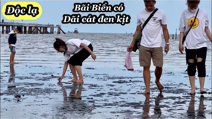 Khám Phá Top 7 Bãi Biển Cát Đen Đẹp Nhất Việt Nam 2026: Vẻ Đẹp Hoang Sơ, Bí Ẩn Và Điểm Check-in "sống Ảo" Cực Chất