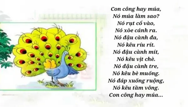 "con Công Nó Múa": Hành Trình Từ Ca Khúc Thiếu Nhi Kinh Điển Trở Thành Hiện Tượng Viral Trên Mạng Xã Hội Năm 2026