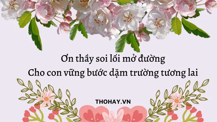 Tuyển Tập Bài Thơ Về Cơn Òn Thầy Cô: Những Giọt Nước Mắt Trong Tim Học Trò Năm 2026