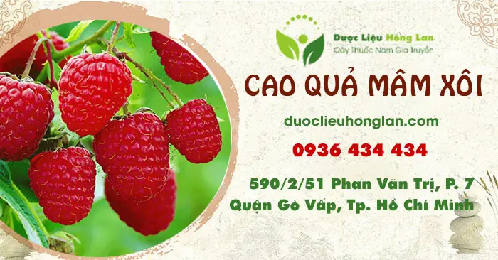 Bán Buôn Xôi Tại Hà Nội 2026: Toàn Tạp Hướng Dẫn Tìm Nguồn Hàng Chất Lượng, Giá Tốt & Xu Hướng Kinh Doanh Mới Nhất