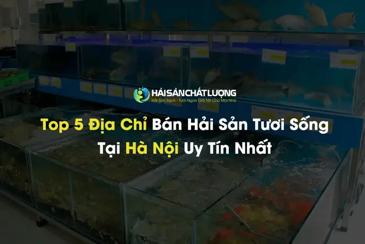Top Nơi Bán Cá Biển Tươi Sống Tại Hà Nội 2026: Địa Chỉ Uy Tín, Giá Tốt, Giao Hàng Tận Nơi