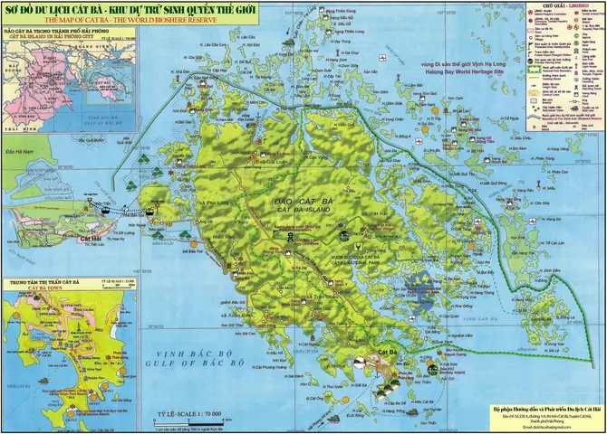 Bản Đồ Du Lịch Đảo Cát Bà Chi Tiết Nhất 2026: Hướng Dẫn Khám Phá "ngọc Biển" Trọn Vẹn Từ A-Z