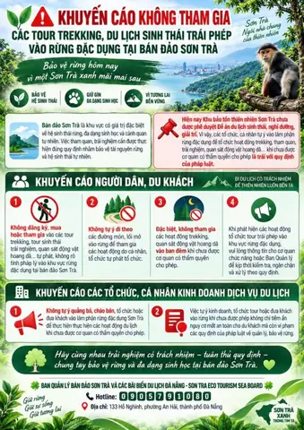 Hành Trình 2026: Bạn Hay Cùng Tôi Ta Về Thăm – Bí Quyết Chinh Phục Những Điểm Đến "hot Nhất" Năm Nay