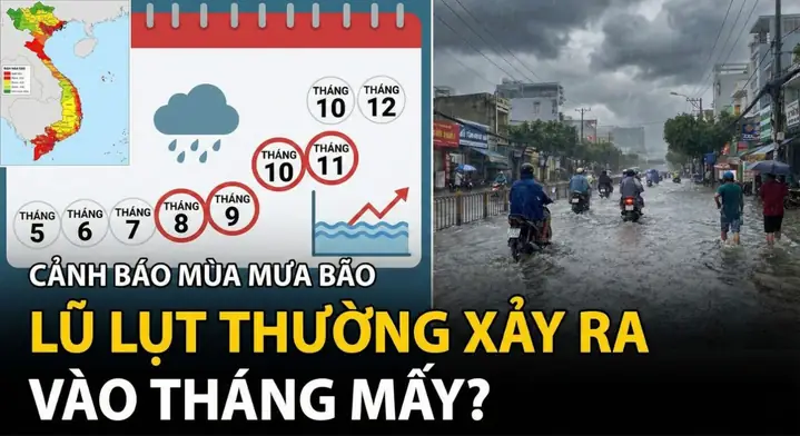Bão Thường Xảy Ra Vào Tháng Mấy? Phân Tích Chi Tiết Lịch Bão, Xu Hướng 2026 Và Kinh Nghiệm Phòng Tránh Hiệu Quả