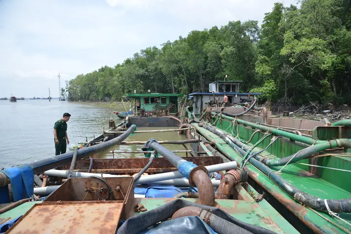 Bắt Cửa Biển Ở Cần Giờ 2026: Trải Nghiệm Du Lịch Sinh Thái Độc Đáo, Hướng Dẫn Chi Tiết Cho Hành Trình "bắt Gió, Bắt Sóng, Bắt Tôm Cá"