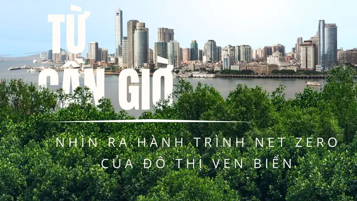 Bắt Cửa Biển Ở Cần Giờ 2026: Trải Nghiệm Du Lịch Sinh Thái Độc Đáo, Hướng Dẫn Chi Tiết Cho Hành Trình "bắt Gió, Bắt Sóng, Bắt Tôm Cá"