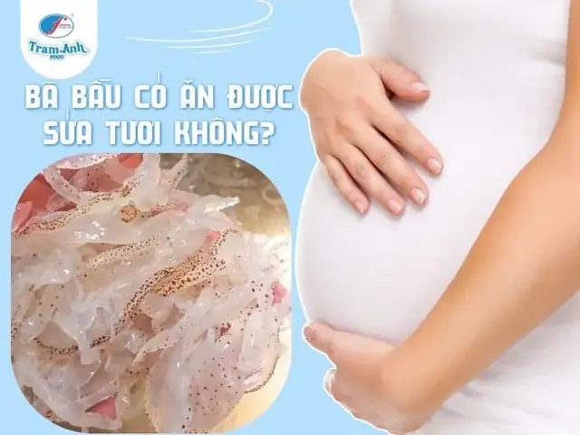 Bầu Ăn Sứa Tươi Được Không? Hướng Dẫn Chi Tiết Lợi Ích, Rủi Ro Và Cách Chọn Mua An Toàn Năm 2026
