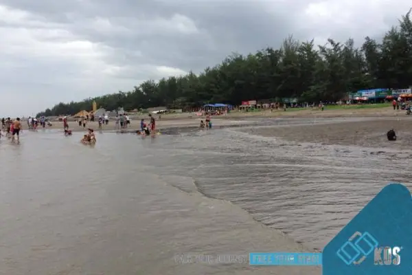 Biển Cần Giờ 2026: Hành Trình Khám Phá "phổi Xanh" TP.HCM – Những Điểm Check-in "sống Ảo" Và Trải Nghiệm Mới Nhất Không Thể Bỏ Lỡ