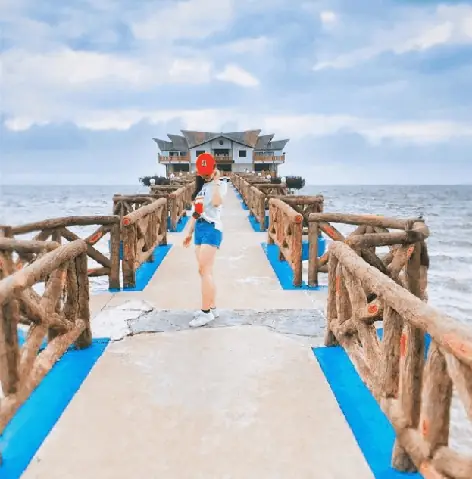 Biển Cần Giờ 2026: Hành Trình Khám Phá "phổi Xanh" TP.HCM – Những Điểm Check-in "sống Ảo" Và Trải Nghiệm Mới Nhất Không Thể Bỏ Lỡ