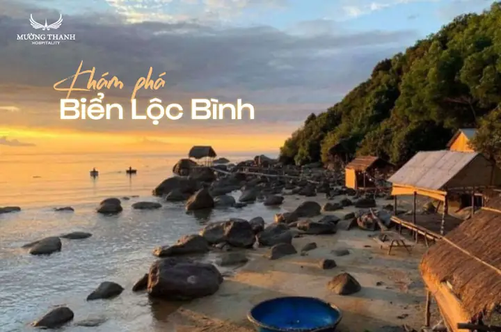 Biển Lộc Bình Phú Lộc Thừa Thiên Huế: Thiên Đường Biển Hoang Sơ Đẹp Như Tranh Vẽ Năm 2026 Biển Lộc Bình Phú Lộc Thừa Thiên Huế: Thiên Đường Biển Hoang Sơ Đẹp Như Tranh Vẽ Năm 2026