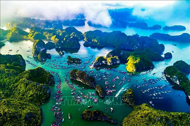Ca Dao Về Vịnh Hạ Long: Di Sản Văn Hóa Bất Tử Qua Thời Gian Và Giá Trị Sống Còn Năm 2026