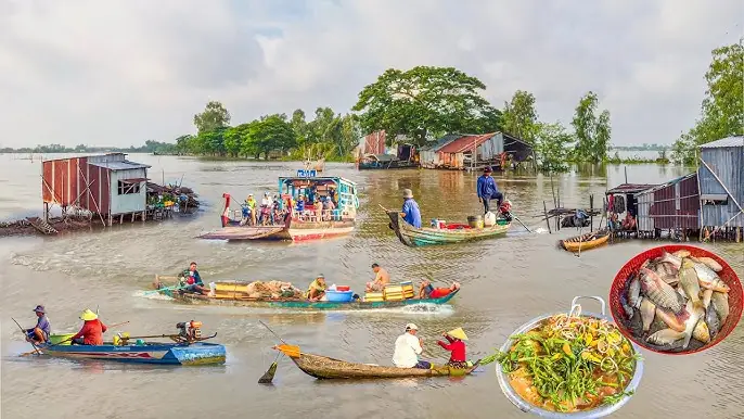 Cá Kho Làng Vũ Đại Hoàng Thơ 2026: Hương Vị Truyền Thống, Quy Trình Chuẩn Xứ, Giá Cả & Địa Chỉ Mua Uy Tín Nhất Hiện Nay