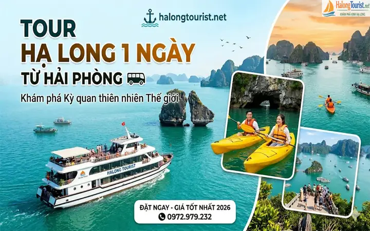 Top Tour Du Lịch Từ Hải Phòng 2026: Hành Trình Khám Phá Việt Nam & Quốc Tế Trọn Vẹn Nhất