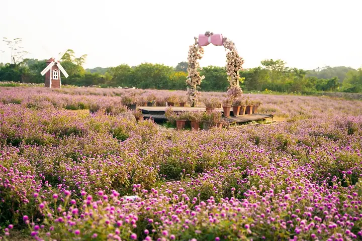 Top 10+ Vườn Hoa Đẹp Nhất Hà Nội 2026: Gợi Ý Check-in "sống Ảo" Chụp Ảnh Đẹp Như Mơ, Cập Nhật Giá Vé Mới Nhất