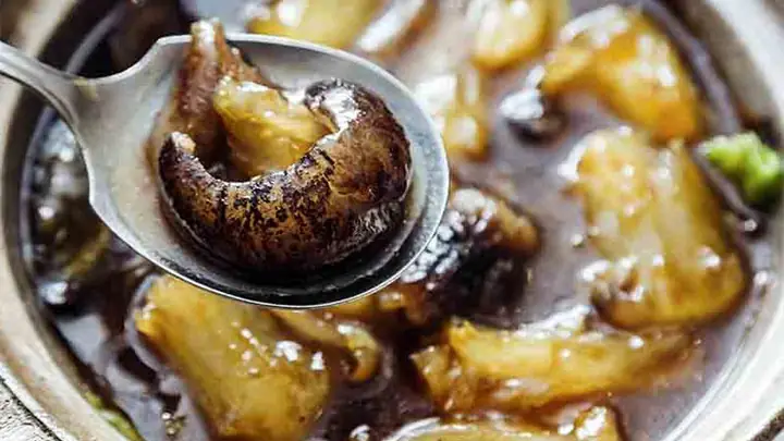 Cách Chế Biến Hải Sâm Đen Chuẩn Vị Nhà Hàng: Bí Quyết Ngâm, Rửa, Hấp Và 5 Món Ngon "chinh Phục" Thực Khách Năm 2026