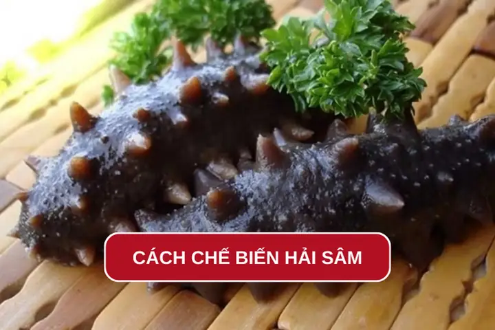 Cách Chế Biến Hải Sâm Đen Chuẩn Vị Nhà Hàng: Bí Quyết Ngâm, Rửa, Hấp Và 5 Món Ngon "chinh Phục" Thực Khách Năm 2026