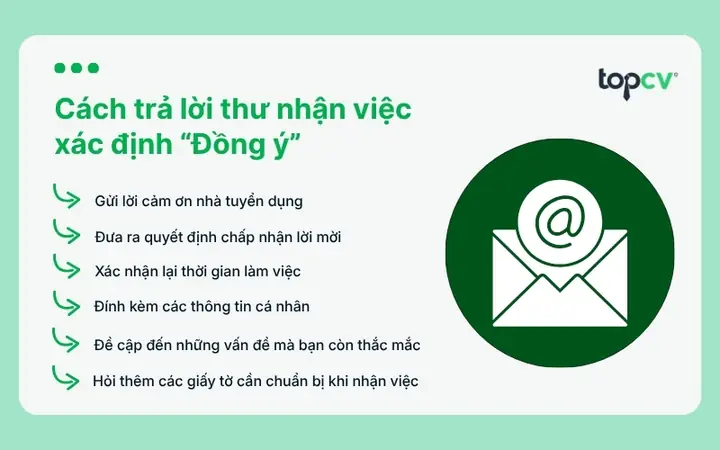 Cách Trả Lời Thư Cảm Ơn Chuyên Nghiệp, Lịch Sự Và Tạo Dấu Ấn Tốt Năm 2026: Hướng Dẫn Chi Tiết, Mẫu Tham Khảo Theo Từng Tình Huống