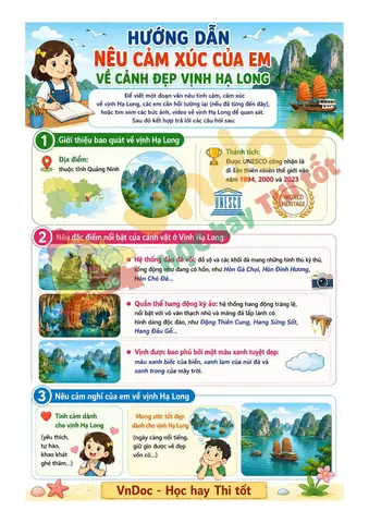 Vịnh Hạ Long 2026: Những Cảm Nhận Mới Từ Di Sản Thiên Nhiên Sau Đại Dịch Và Hành Trình Chuyển Hướng Bền Vững