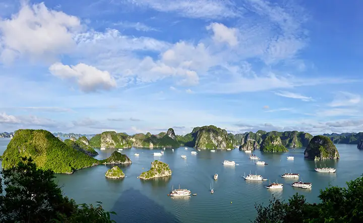 Vịnh Hạ Long 2026: Những Cảm Nhận Mới Từ Di Sản Thiên Nhiên Sau Đại Dịch Và Hành Trình Chuyển Hướng Bền Vững