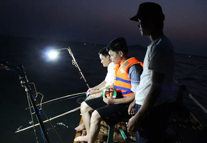 Câu Cá Đêm Ở Đà Nẵng 2026: Trọn Bộ Kinh Nghiệm, Điểm Đẹp & Bí Quyết "chạm" Cá Lớn Từ Các Cao Thủ