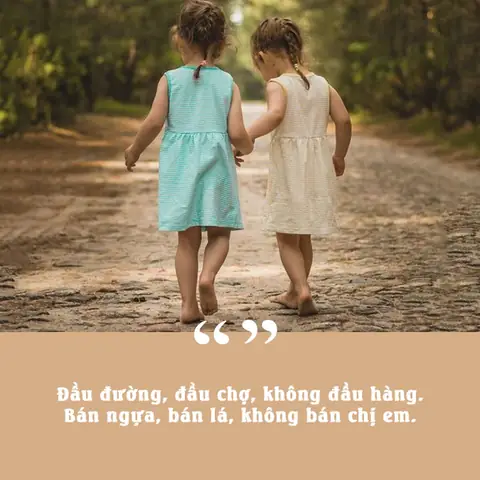 Top 100+ Câu Nói Hay Về Anh Em Bạn Bè: Những Góc Nhìn Sâu Sắc Nhất Năm 2026 Về Tình Bạn Và Tình Huynh Đệ