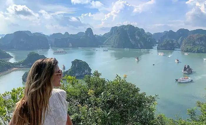 Chi Phí Đi Vịnh Hạ Long 2026: Bảng Giá Chi Tiết, Kinh Nghiệm Tiết Kiệm & Review Thực Tế Mới Nhất