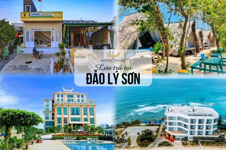 Chi Phí Du Lịch Lý Sơn 2026: Bảng Giá Chi Tiết, Kinh Nghiệm Tiết Kiệm & Hành Trình Gợi Ý 3N2Đ/4N3Đ Mới Nhất Chi Phí Du Lịch Lý Sơn 2026: Bảng Giá Chi Tiết, Kinh Nghiệm Tiết Kiệm & Hành Trình Gợi Ý 3N2Đ/4N3Đ Mới Nhất