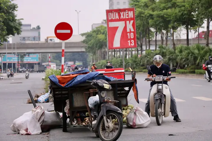 Top 5 Chợ Đầu Mối Bán Dừa Ở Hà Nội 2026: Giá Tốt, Nguồn Gốc Rõ Ràng, Giao Hàng Tận Nơi