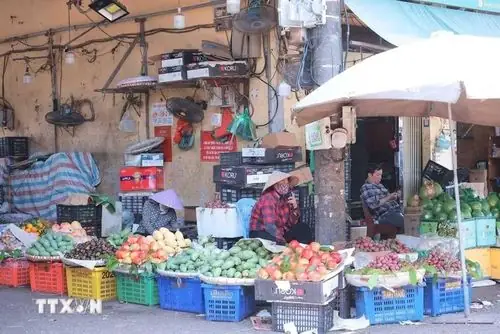 Top 5 Chợ Đầu Mối Bán Dừa Ở Hà Nội 2026: Giá Tốt, Nguồn Gốc Rõ Ràng, Giao Hàng Tận Nơi