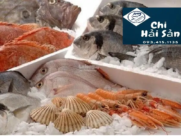 Top 7 Chợ Đầu Mối Hải Sản TPHCM 2026: Giá Tốt, Tươi Sống, Uy Tín – Review Chi Tiết Địa Chỉ, Giờ Mở Cửa, Kinh Nghiệm Mua Sắm "chuẩn Không Cần Chỉnh"