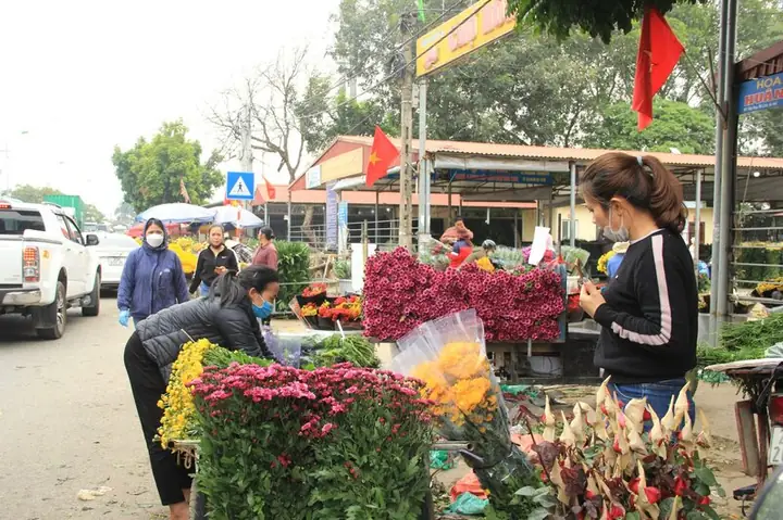 Chợ Hoa Mê Linh Vĩnh Phúc 2026: Hành Trình Khám Phá "vương Quốc Hoa" Lớn Nhất Khu Vực, Giá Sỉ Hấp Dẫn, Dịch Vụ Giao Hàng Tận Nơi