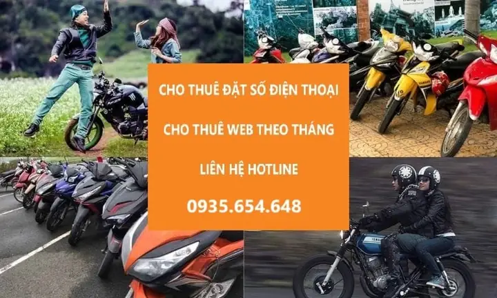Cho Thuê Xe Máy Quận 8 Năm 2026: Bảng Giá Mới Nhất, Top Địa Chỉ Uy Tín & Bí Quyết Thuê An Toàn, Tiết Kiệm