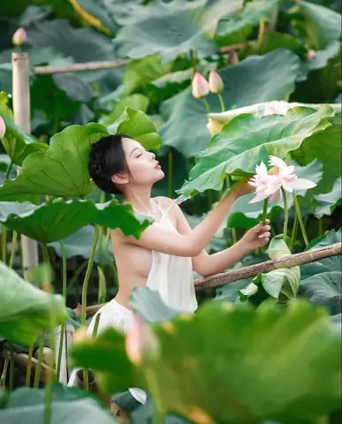 Chụp Ảnh Với Sen Mặc Gì: Hướng Dẫn Chi Tiết Trang Phục, Màu Sắc Và Kiểu Dáng "chuẩn Không Cần Chỉnh" Cho Mùa Sen 2026