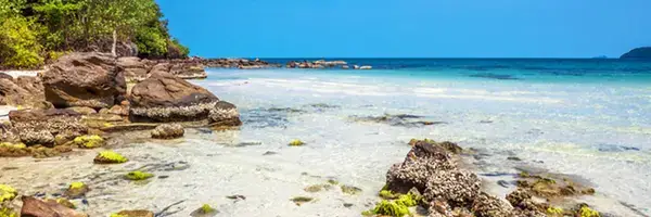 Lịch Bay Sài Gòn Phú Quốc Hôm Nay 2026: Giá Vé, Thời Gian Bay, Hãng Hàng Không & Mẹo Săn Vé Rẻ Cập Nhật Liên Tục